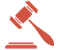 Expert Forensic Witness